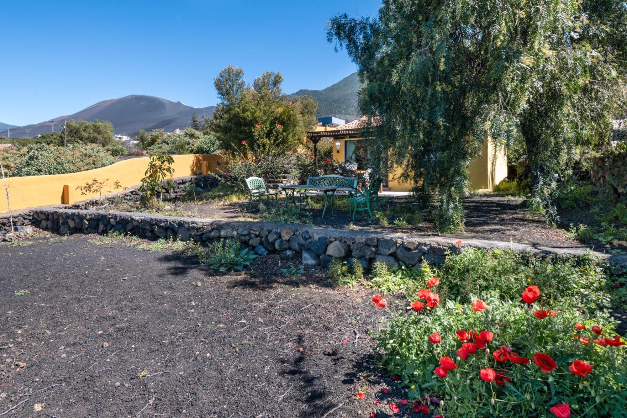 El Jardin De Las Pleyades Los Llanos De Aridane Exterior photo